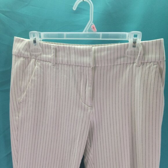 Loft Marisa Skinny Pinstripe Pants Size 4 Women's - Picture 3 of 7